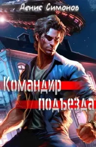 «Командир подъезда» Денис Симонов